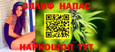 дурь Гай