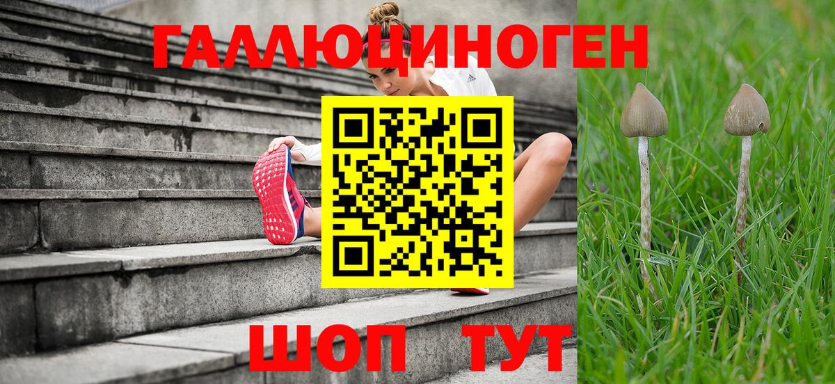 Мыски  Галлюциногенные грибы мицелий  Псилоцибиновые грибы Psilocybe  Вход с VPN 